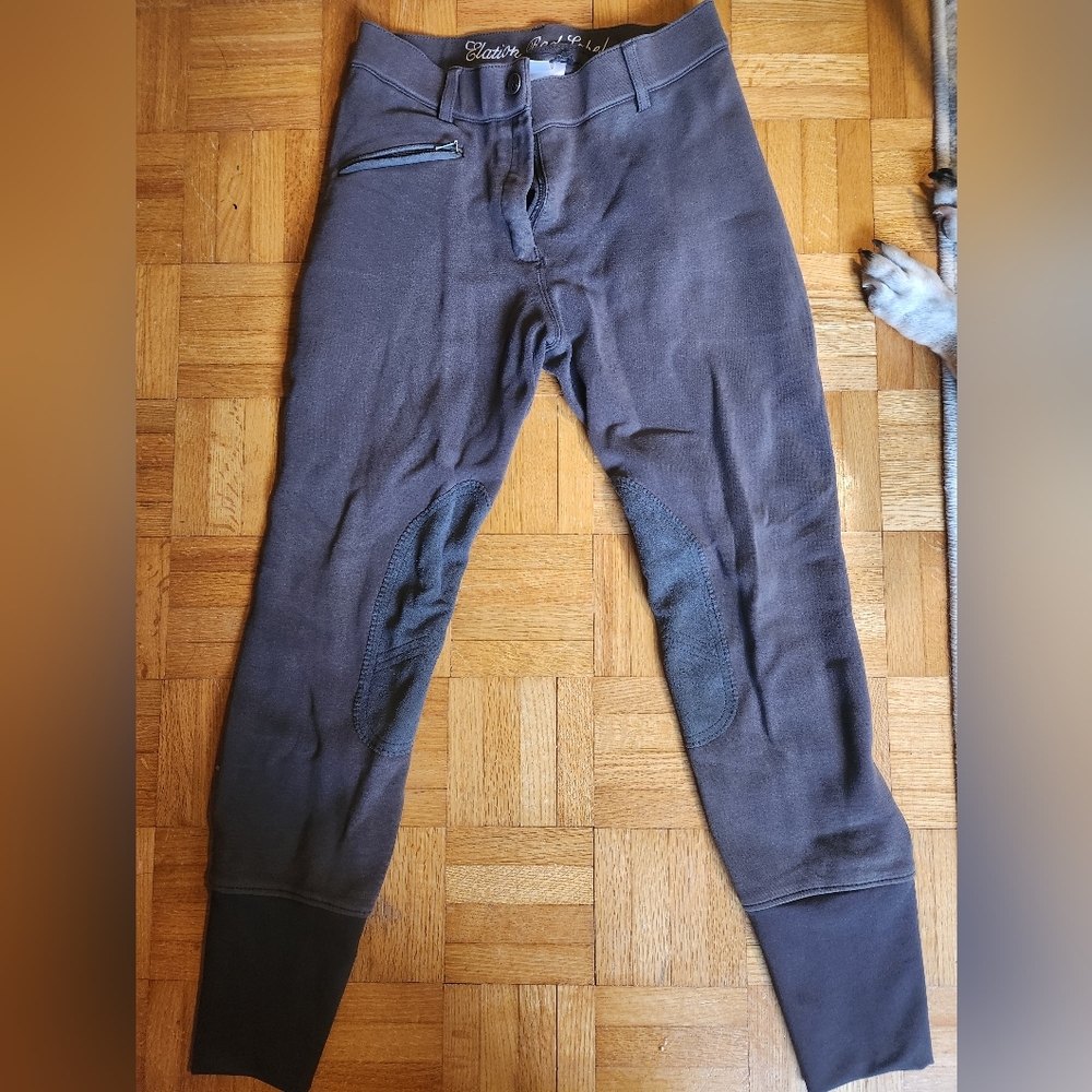 Ladies' Elation Red Label Breeches- Gray